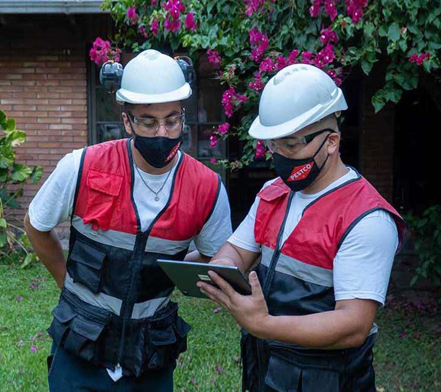 nuestros valores